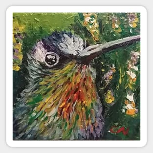 Hummingbird Sticker